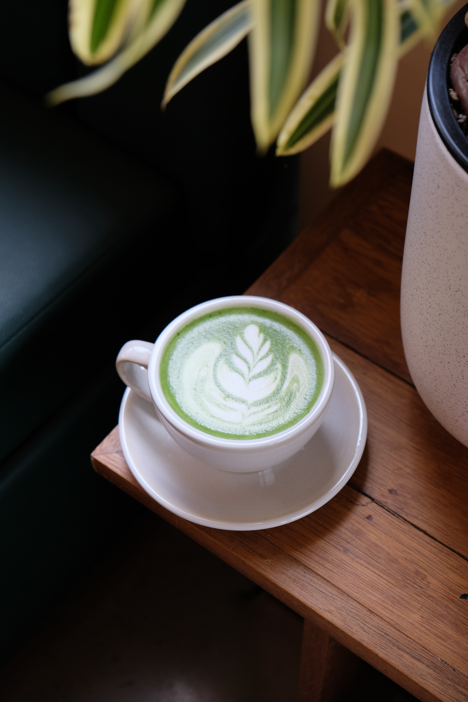 扶茶ラテ Matcha Latte – Plant Folk Coffee